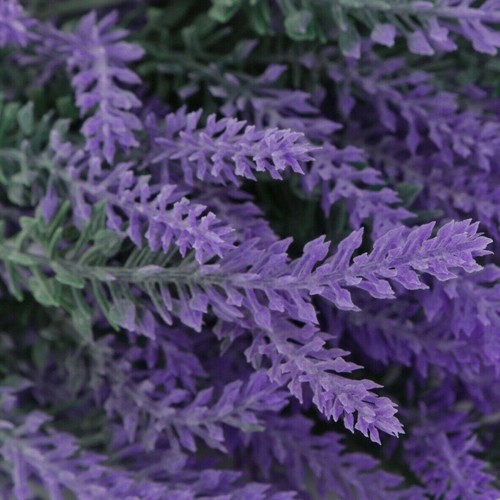 Lavanda bouquet 36cm fiori - bouquet,