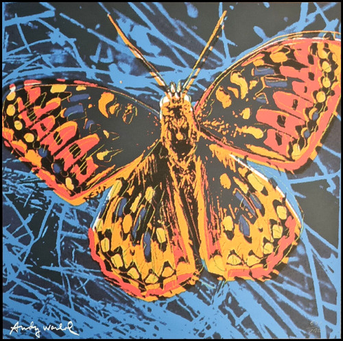 Andy warhol farfalla - andy, *