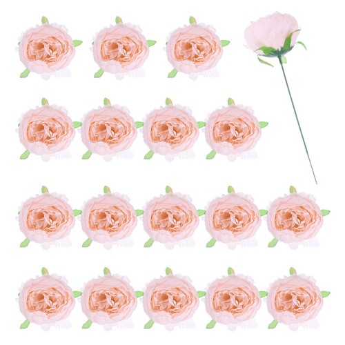 Peonie fiori - 25, pz