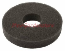 FILTRO SPUGNA 9LD 11LD 535 625 626  LOMBARDINI  5496.1820 191015