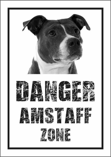 Cartello segnaletico amstaff - -,
