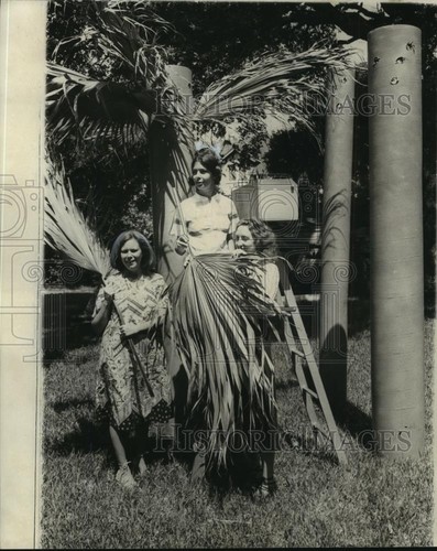 Foto stampa 1976 calypso ball - foto,