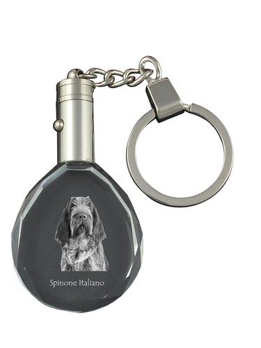 Spinone italiano portachiavi - italiano,