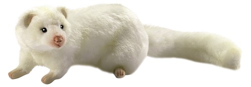 Peluche hansa furetto - peluche,