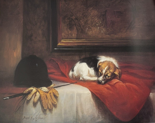 Joseph sulkowski cappotto del - joseph,