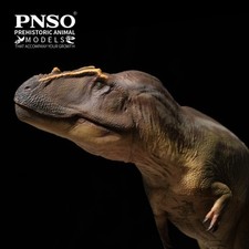 PNSO 2025 Mayer the