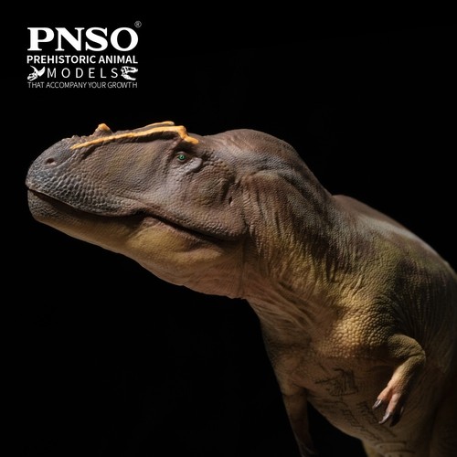 Pnso 2025 mayer the - 2025,