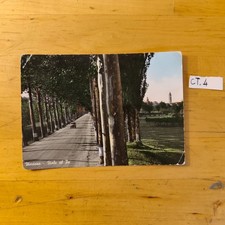 Cartolina VIADANA VIALE DEL PO