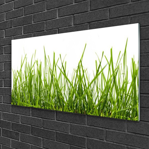 Quadri vetro 100x50 quadro - quadri,
