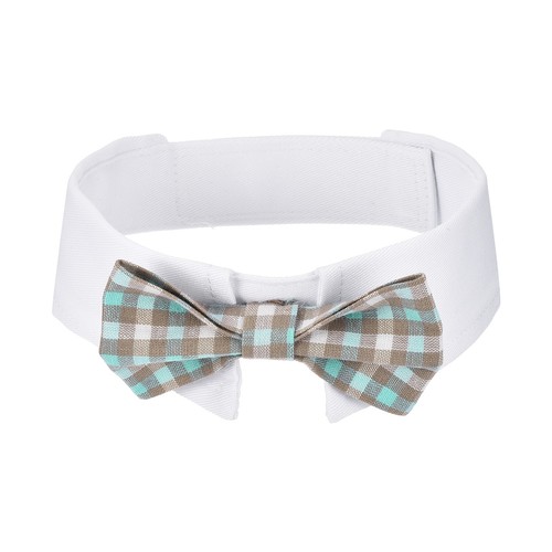 Papillon per cane - , m