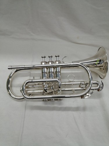 Cornetta sib yamaha - in,