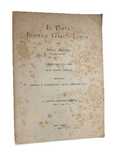 Poeta federico garcia lorca - poeta,