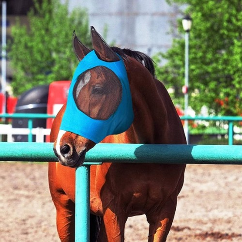 Maschera antimosche cavallo - antimosche,