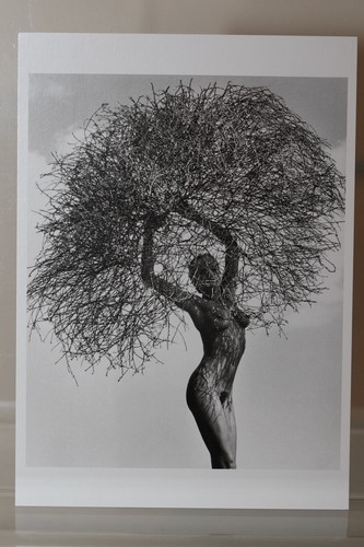 Herb ritts neith - herb, ritts: