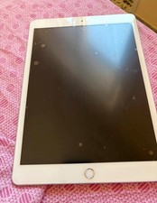 Apple iPad 7a gen. 32 GB, WiFi + 4G (Verizon), 10,2" - Argento