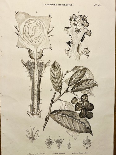 Tavolo antico rame 1834 - tavolo,