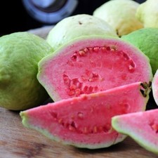 Pianta di GUAVA ROSA ‘Frutto