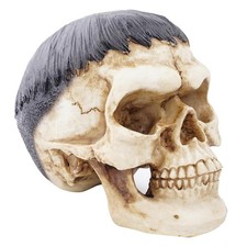 Resina  Realistica Teschio