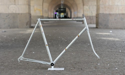 Cornice gazelle champion - gazelle,