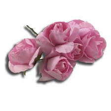 ROSE FINTE ROSA OFFERTE