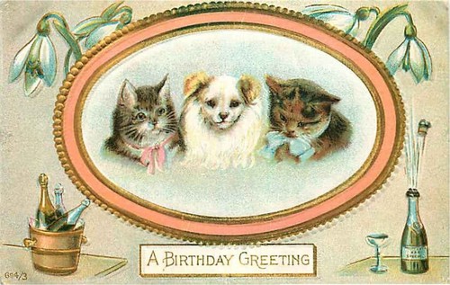 Cartolina compleanno con cane