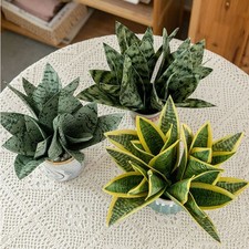 Pianta di Serpente Artificiale