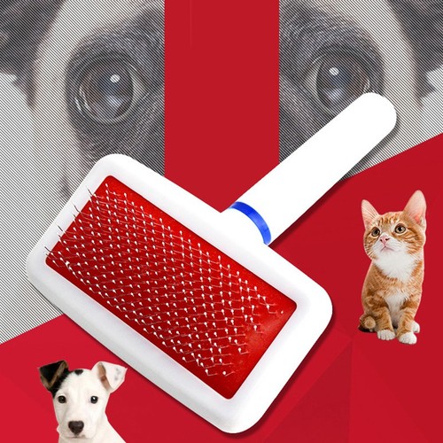 Pets play spazzola - pets,