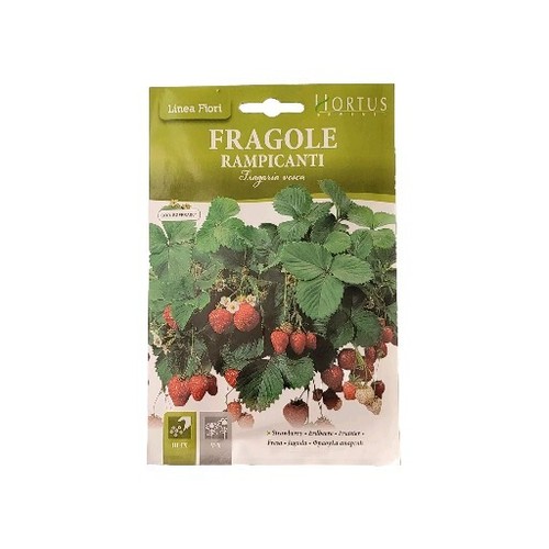 Semi per fiori - per, fragole