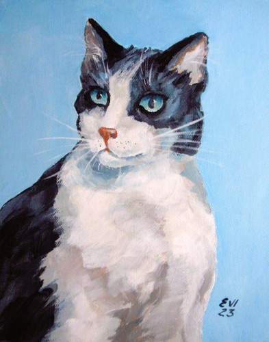 Gatto con occhi azzurri - , quadro