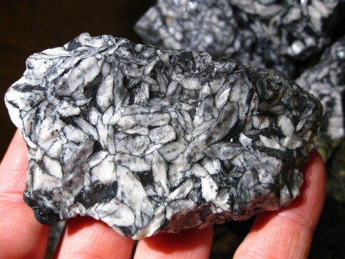 Pinolite magnesite - pinolite/magnesite, (magnesite