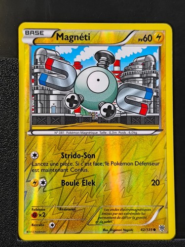 Scheda pokémon magneti - pokémon,