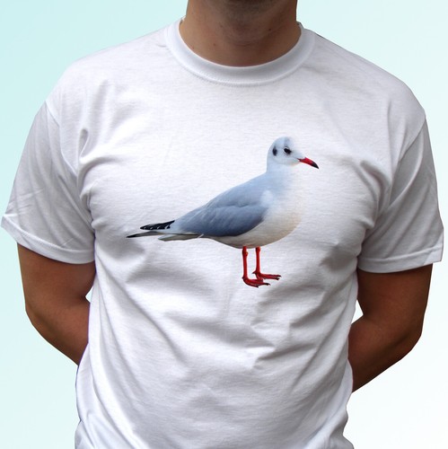 Shirt gabbiano maglietta - t-shirt,