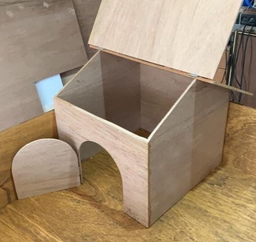 Casette per tartarughe - tartarughe, di