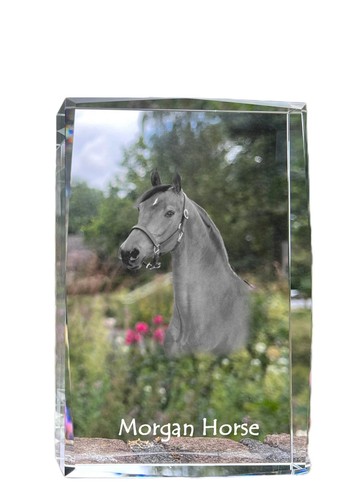 Morgan cavallo cristallo con - cavallo,