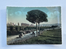 ROMA VIA APPIA ANTICA CARRI