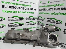 A642090 COLLETTORE DI