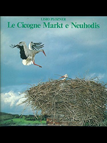 Cicogne markt neuhodis - cicogne,