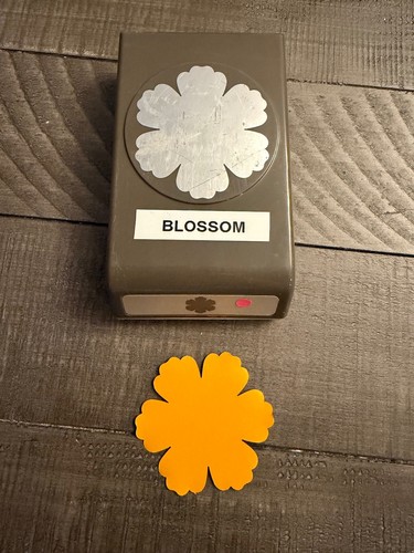 Stampin blossom grande - stampin',