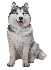 Vivid Arts Malamute Husky Dog