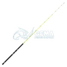 Canna Tubertini Vitality 2