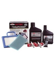 Kit assistenza motore Briggs &