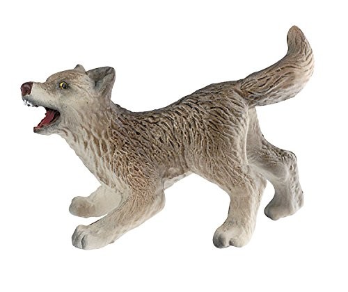Cucciolo lupo - cucciolo, di
