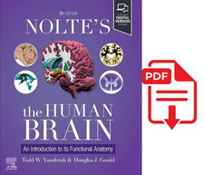 Nolte's Il Cervello Umano
