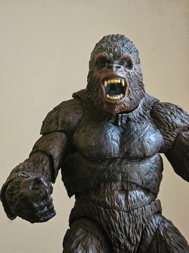 Kong 1976 custom - custom, altezza