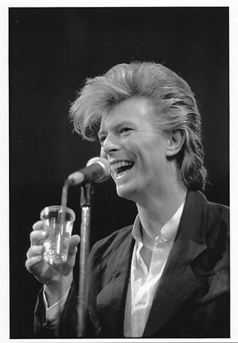 David bowie frans - david,
