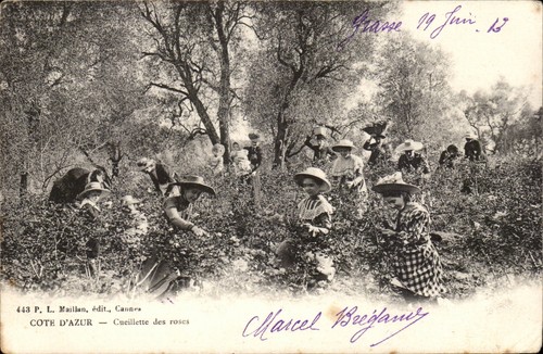 Côte azur cueillette - côte, —