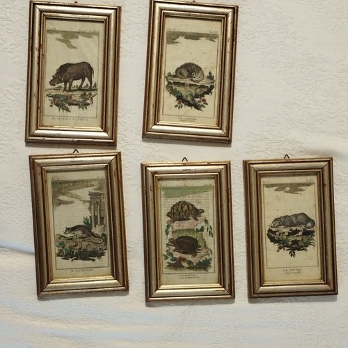Set quadretti con incisioni - con,