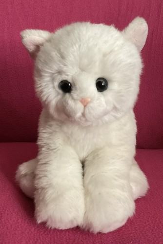 Paws white british shorthair - paws,