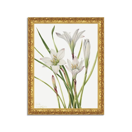 Quadro stampa tela effetto - quadro, su