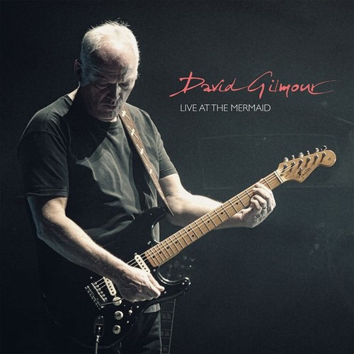 David gilmour live the - at,